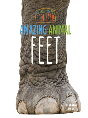 cover image of Amazing Animal Feet